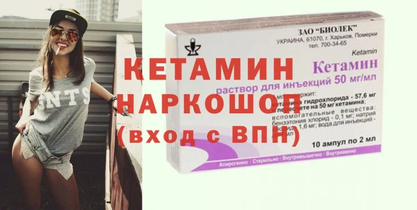 прущие грибы Гатчина