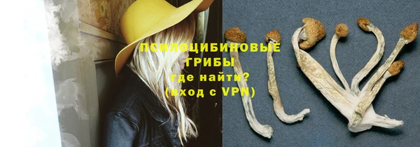 ПСИЛОЦИБИНОВЫЕ ГРИБЫ Зеленодольск