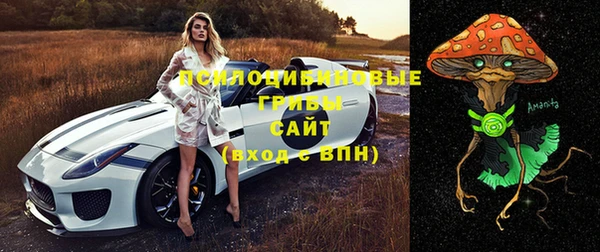 гидропоника Зеленокумск