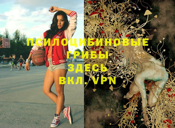 ПСИЛОЦИБИНОВЫЕ ГРИБЫ Зеленодольск