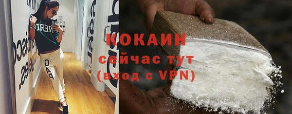 тгк Галич